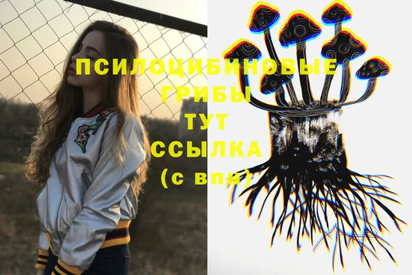 ПСИЛОЦИБИНОВЫЕ ГРИБЫ Горно-Алтайск