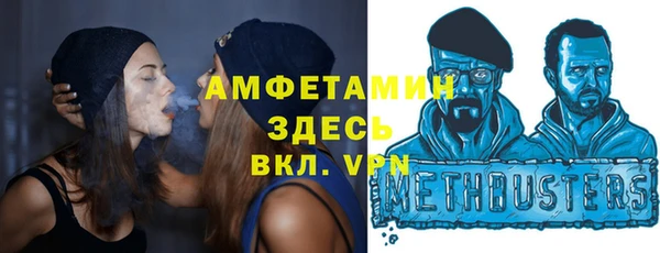 ПСИЛОЦИБИНОВЫЕ ГРИБЫ Горно-Алтайск