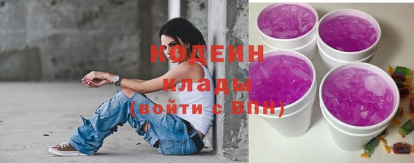 ПСИЛОЦИБИНОВЫЕ ГРИБЫ Горно-Алтайск