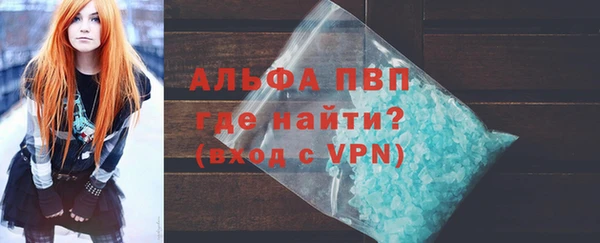 ПСИЛОЦИБИНОВЫЕ ГРИБЫ Горно-Алтайск