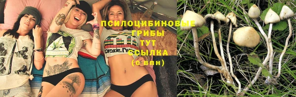кристаллы Горнозаводск