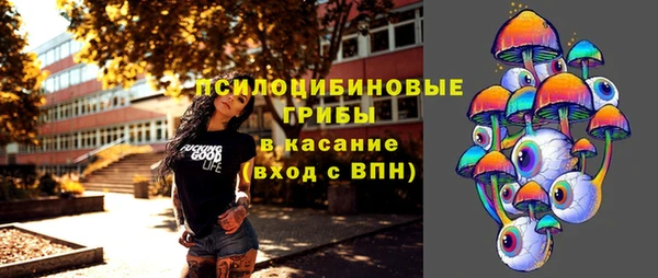 ПСИЛОЦИБИНОВЫЕ ГРИБЫ Горно-Алтайск