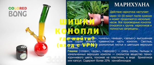 ПСИЛОЦИБИНОВЫЕ ГРИБЫ Горно-Алтайск