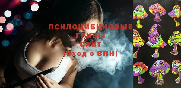 ПСИЛОЦИБИНОВЫЕ ГРИБЫ Горно-Алтайск