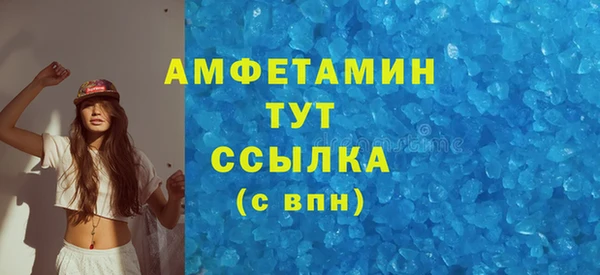 хмурый Горняк