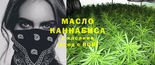 ПСИЛОЦИБИНОВЫЕ ГРИБЫ Горно-Алтайск